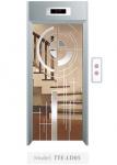 Cửa tầng thang máy Phong thuỷ Lựa chọn TTE-LD05