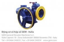 Động cơ GEM có hộp số sản xuất tại Italia ý